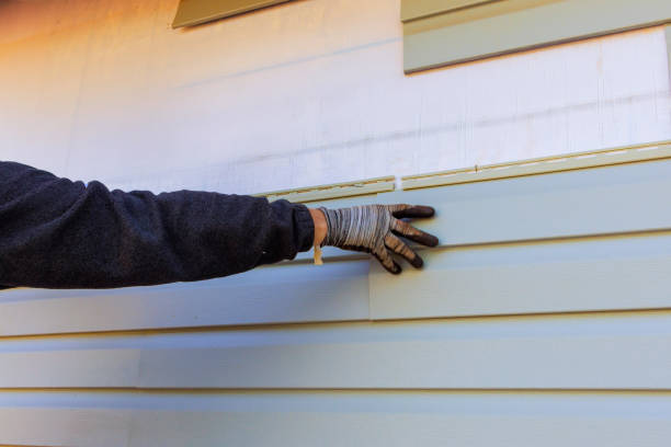 Affordable Siding Repair and Maintenance Services in Loudoun Valley Estates, VA